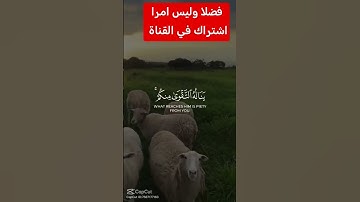 القرآن الكريم #اكسبلور #دويتو #تيك_توك #duet #لايك #حالات_واتس #في #كلام_من_ذهب #فولو #رمضانمبارك