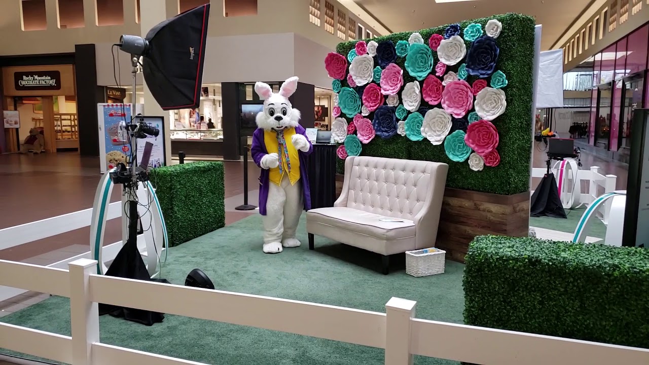 Picture with the Easter Bunny in a mall in the United States YouTube