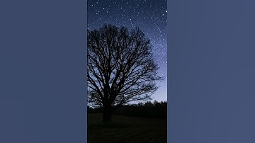 💥"Visualize Your Success."💥|👉 Videos For You 👍| #shorts