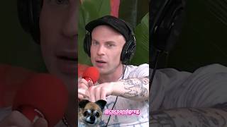 Anna Farris & Regina Hall