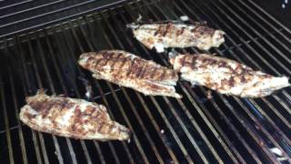 Catch And Cook Redfish