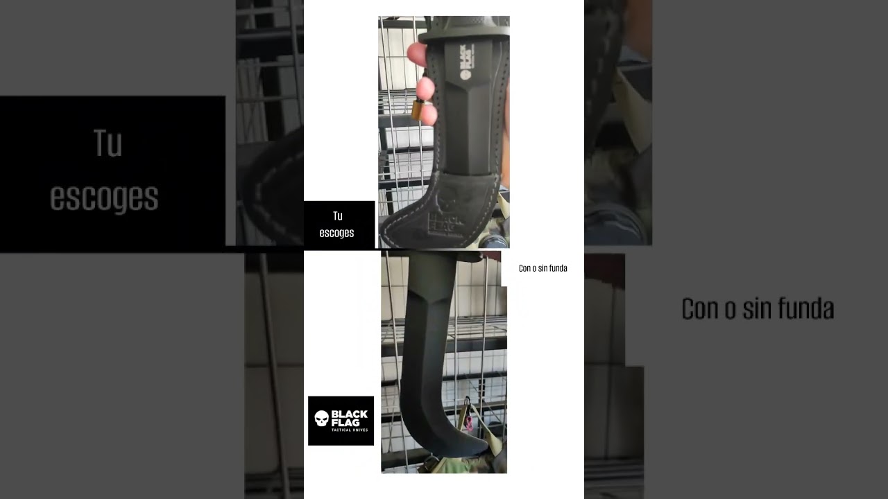 Corvo comando 🇨🇱