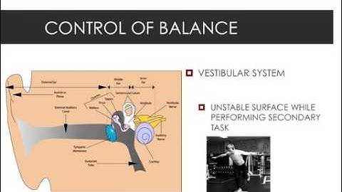 Advanced Balance Strategies with Dr. Evan Osar