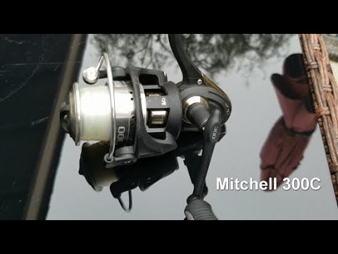Mitchell 300C Review and Catching a big Trout! 