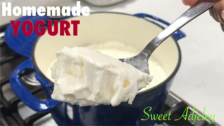 HOW TO MAKE YOGURT AT HOME WITH & WITHOUT A YOGURT STARTER | HOMEMADE YOGURT FROM SCRATCH - DayDayNews