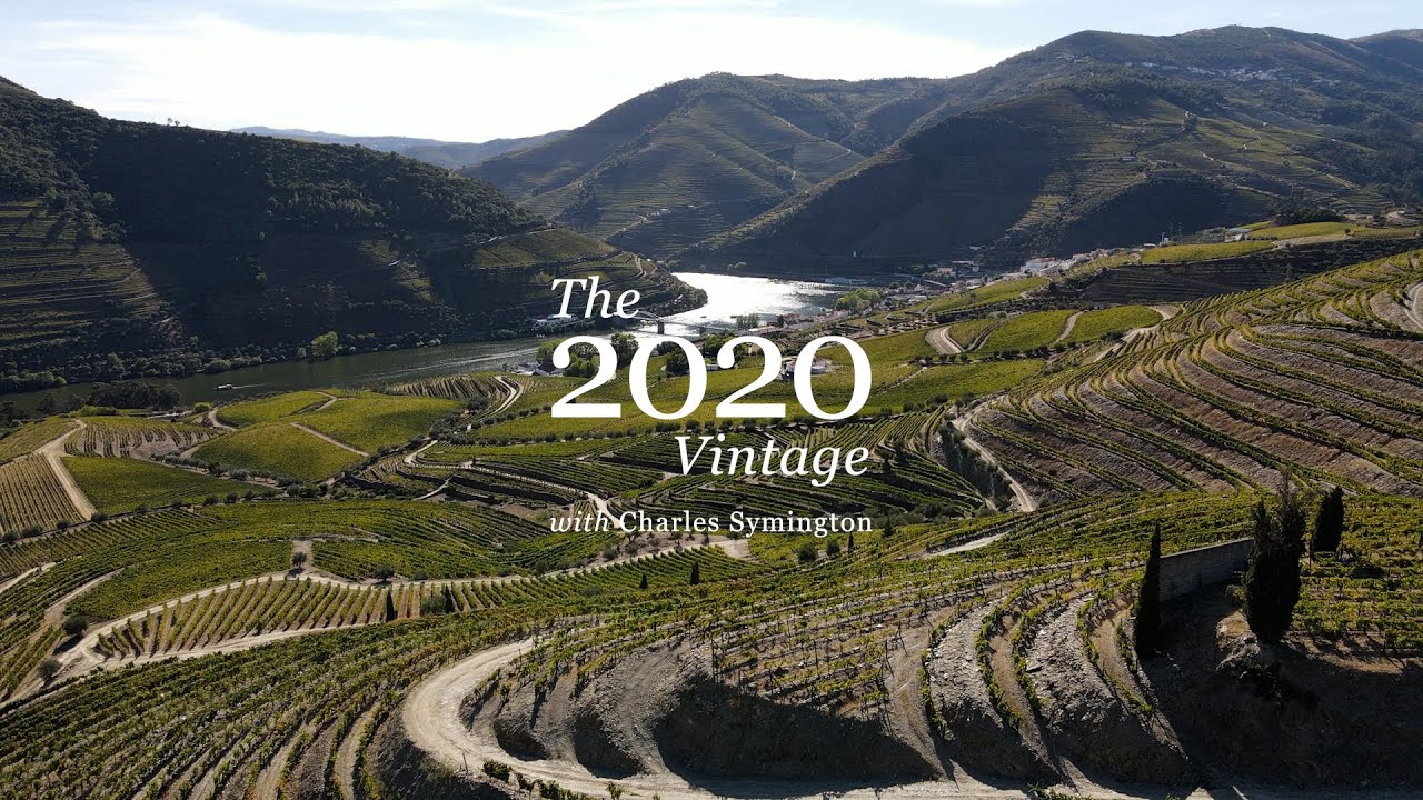 2020 Harvest Update - Port