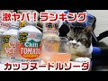 激ヤバ！カップヌードルソーダ全4種を飲み比べレビュー☆『カップヌードル50周年コンプリートセット』☆日清の本気度を見た！☆つっこみ入れたくなる猫リキちゃん