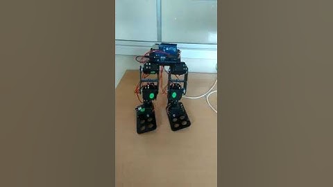 Biped Walking Robot- Project assignment for Skyfilabs online course by( Jessy Michla & Dr. S. Rajesh