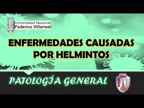 Vídeo: Modelando La Distribución Geográfica De Las Infecciones Por Helmintos Transmitidas Por El Suelo En Bolivia