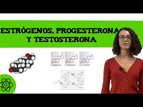 Video: ¿Androsterona y testosterona son lo mismo?