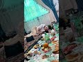 Music Mp3 Qiz Kz Uz Uzbek Short Reklama 
