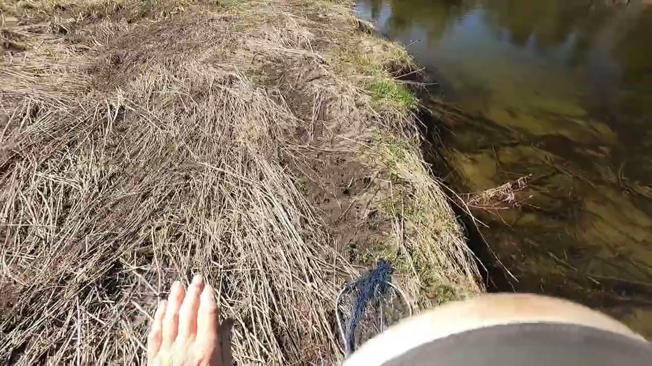 S3:E1 - Brown Trout Guy Season Opener!