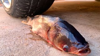 Crushing Crunchy & Soft Things by Car! - EXPERIMENT: FISH VS CAR