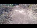 Termites on Zinfandel Trail in Picchetti Ranch Preserve