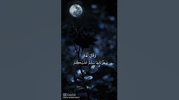القرآن الكريم ❤️ #اكسبلور #النظافه #دويتو #المراه #fortnite #راحة_نفسية #الوكره #لايك #اعتني #اهميه