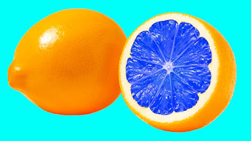 Hidden patterns inside fruit & vegetables in slow & stop-motion Animation & Relaxing ASMR