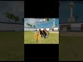 ROXXI DAY BY DAY #freefireclips #freefireshorts #freefiremax #freefire #totalgaming #ff #gaming