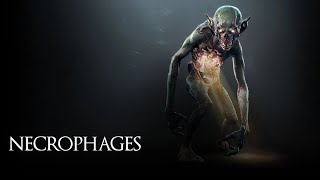 Rax&#39;s Bestiary: Necrophages (The Witcher 3 how to kill monsters)