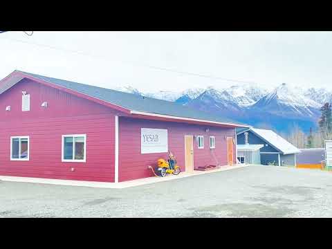 Road Trip to Haines Junction , One hour drive from Whitehorse, Yukon, Canada.