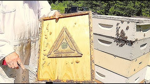 How We Remove Bees From Honey Supers