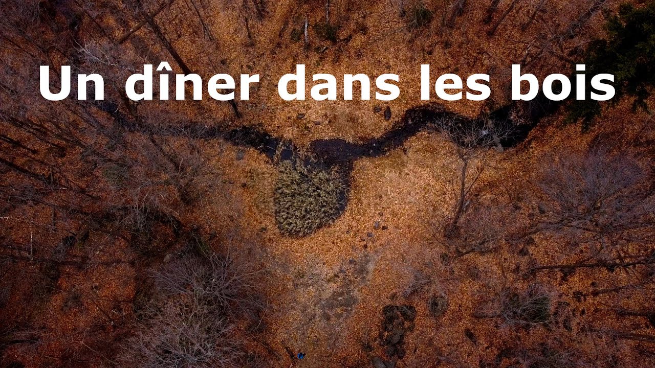 Un dîner dans les bois au Québec | Drone, nature, dîner sur réchaud, chute, ruisseau et feu de camp