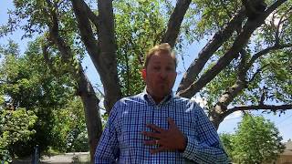 Google Certified Trainer Application Video