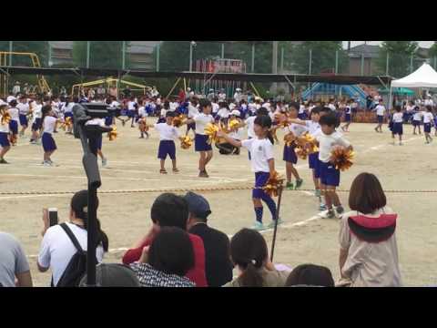 2016運動会　トライエブリシング