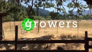 Growers: East Fork Farms Ep3 - Sungrown Cultivation