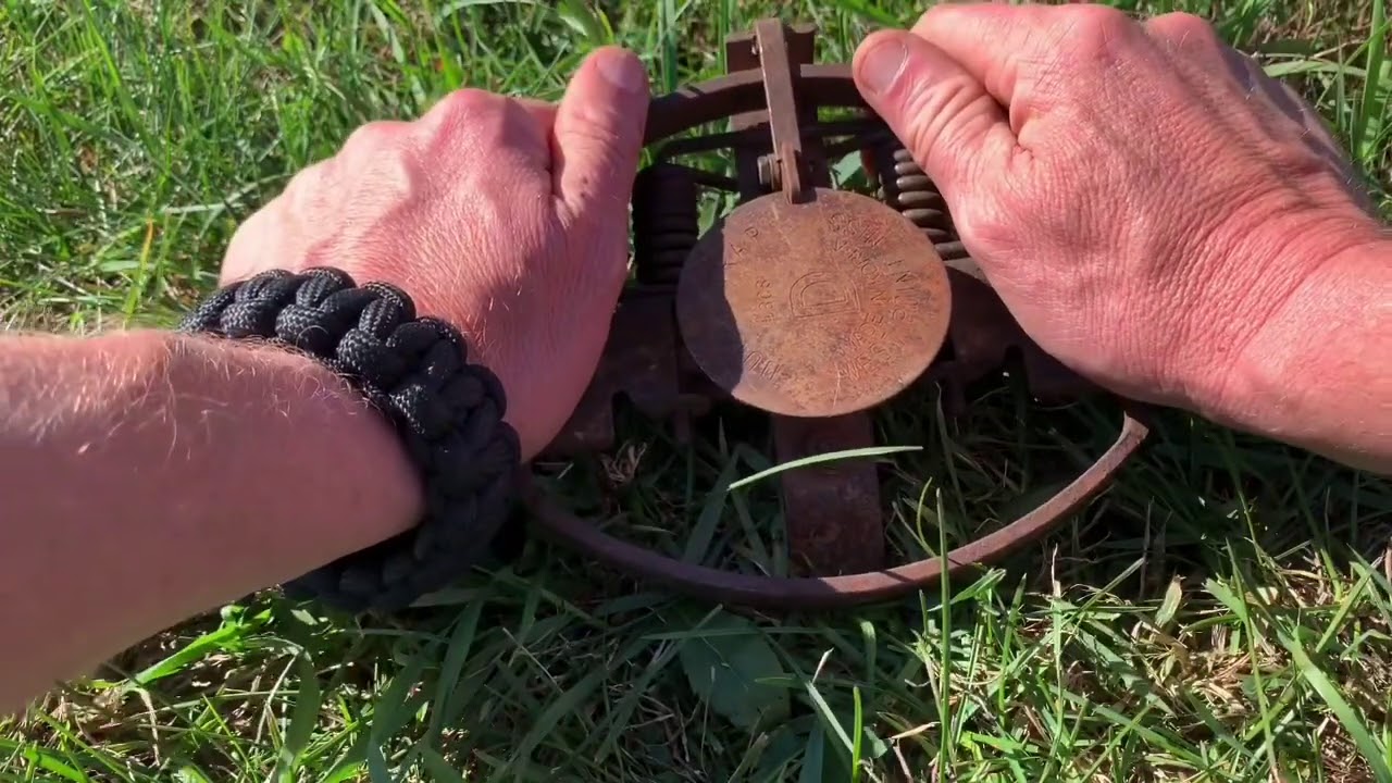 Duke #3 Coilspring — идеальная зимняя ловушка для собак