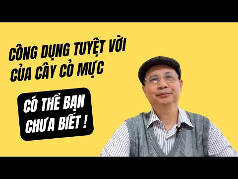 Công dụng tuyệt