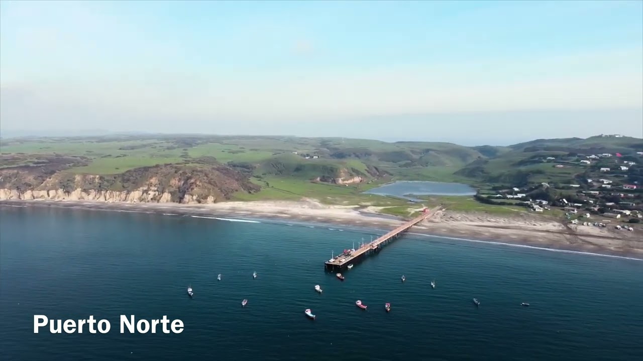 Proyecto de regeneración y reforestación Isla Santa María