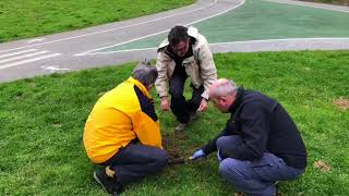 Jornada Medioambiental para la plantación de Árboles en Ramales, Cantabria.