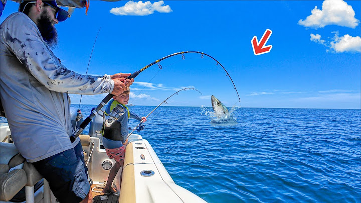 This Is The BIGGEST I’ve Seen In Awhile! Everyone Caught Giants!