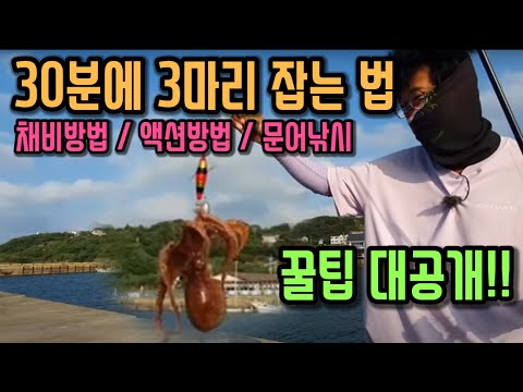 정말쉬운 <strong>문어낚시</strong> 꿀팁과 액션방법 채비방법과 실제잡는영상