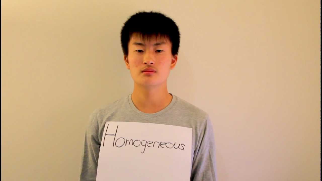The Y.K. Dictionary - Homogeneous