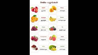 Fruits Name in English and Tamil | Learn 10 Fruits with Pictures 🍎🍌🍊