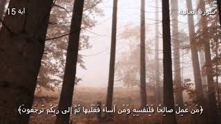 قرآن كريم بصوت القارئ: منصور السالمي || أجمل حالات واتس اب دينيه || تلاوة خاشعة 🌿