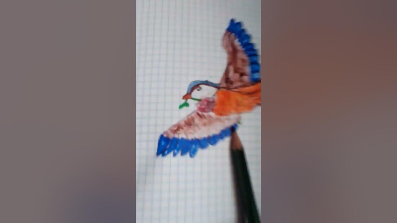 малюнок голуба миру 🕊️ #славаукраїні #art #зсу_найкращі #drawing # ...