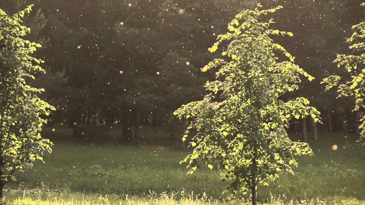 Watch Dmitry Lee'O - Summer Snow on YouTube Watch Dmitry Lee'O - Summer Snow on YouTube