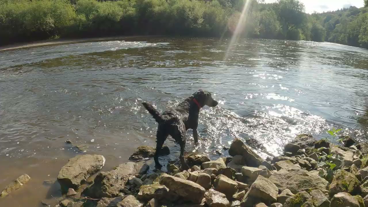 Symonds Yat & Biblins Rope Bridge & River Wye