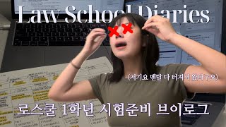 (sub) vlawg 13. 대가리에 쥐날 때까지 공부해야 졸업하는거야 | 시험기간 브이로그