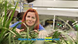 Így maradhat zöld a kerted még a legnagyobb kánikulában is. 🌿 screenshot 2