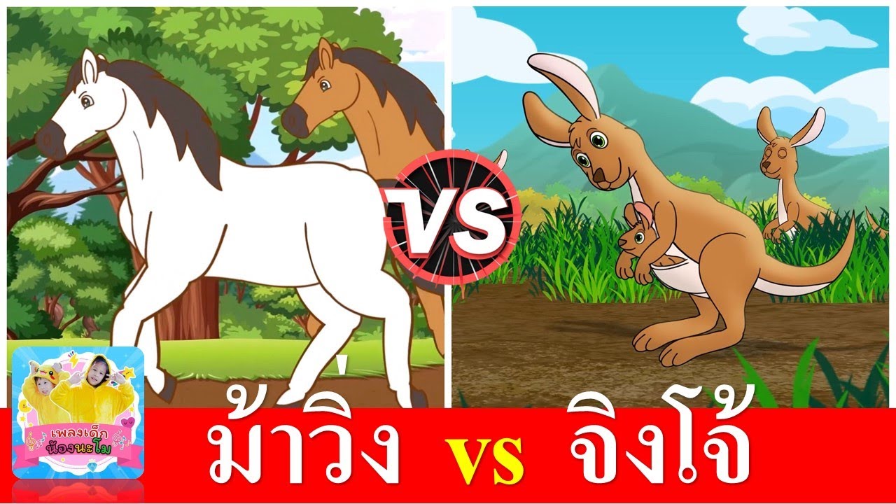 ม้าวิ่งกรับกรับ vs จิงโจ้กระโดษดึ่งดึ๋ง | เพลงเด็กอนุบาล | เพลงเด็ก
