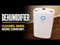 The BEST Dehumidifier For Large Spaces?