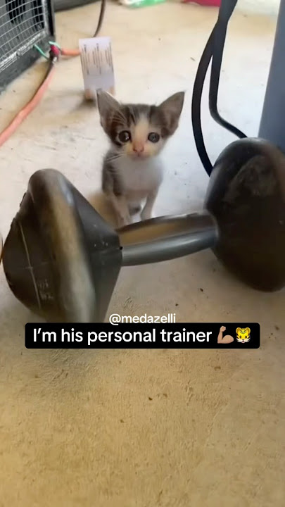 I Tried To Train Coco 😭