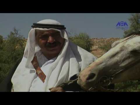 16      الحلقة السادسة عشر مسلسل جرناس والخرساء