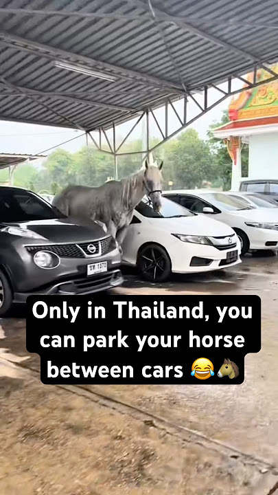 Only in Thailand, you can park your horse between cars 😂🐴 #shorts #bangkok #funny