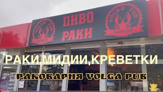 #адлер Раковарня VolgaPub👍🏻 Раки,креветки,мидии и котики в аренду