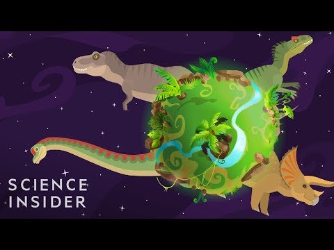 Video: How Dinosaurs Appeared