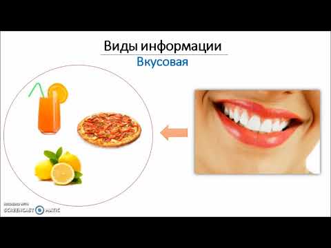 Информация и информационные процессы